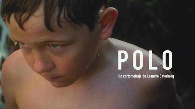 Polo - Imagen del proyecto